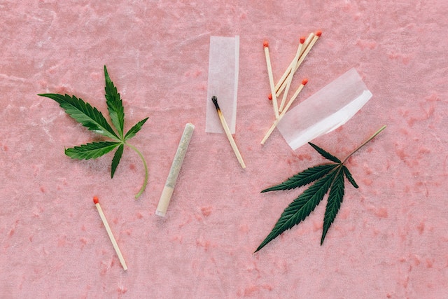 A cannabis pre-roll, matches, and raw cannabis leaves positioned on a pink background