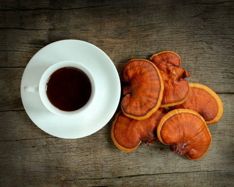 A pile of reishi mushrooms near a cup of reishi tea as an example of different forms of the mushroom that can be used to supplement. 