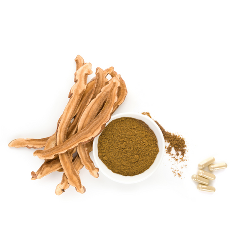 Dried reishi mushrooms and extract powder that can be used to make mushroom tea