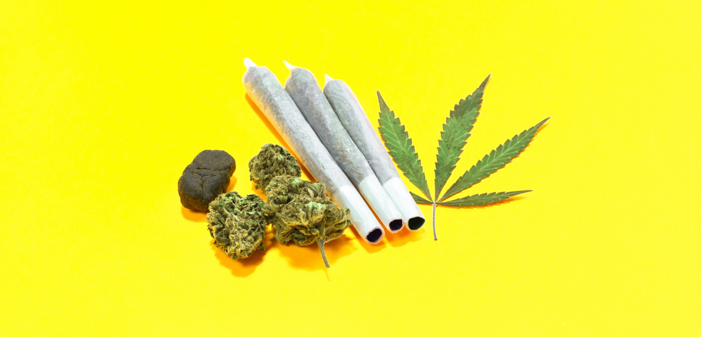 Cannabis flower and pre-rolls posed with cannabis leaf material on a yellow background