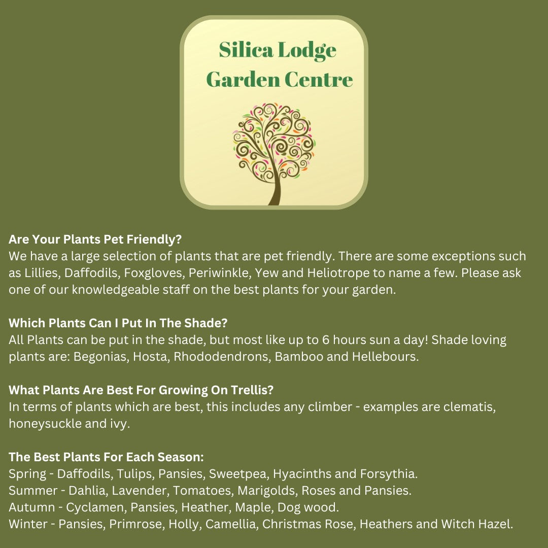 Silica Lodge Garden Centre Frequently asked questions page