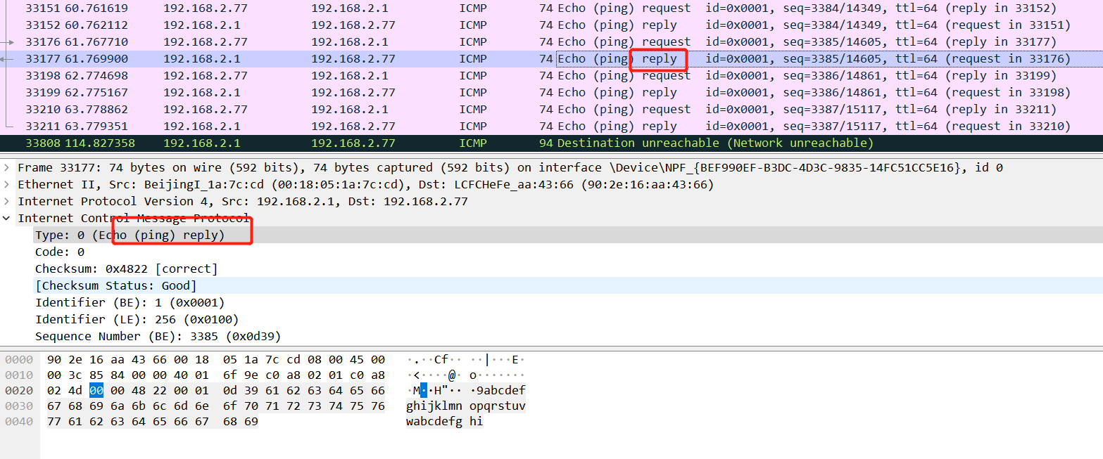 ICMP reply packet