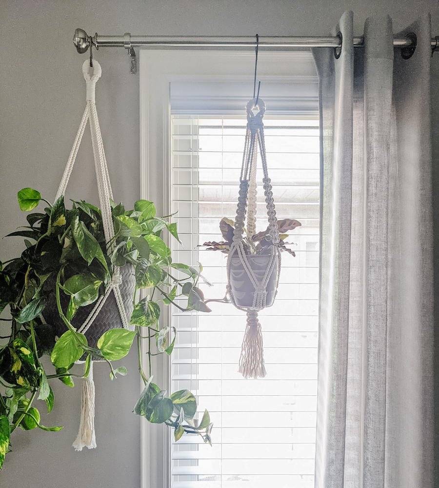 Styling your Home with Hanging Plants – Anna's Garden, Home & Wellness