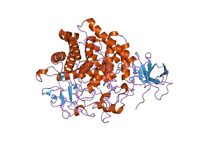 Cellulase enzyme