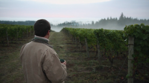 man looking at vineyard