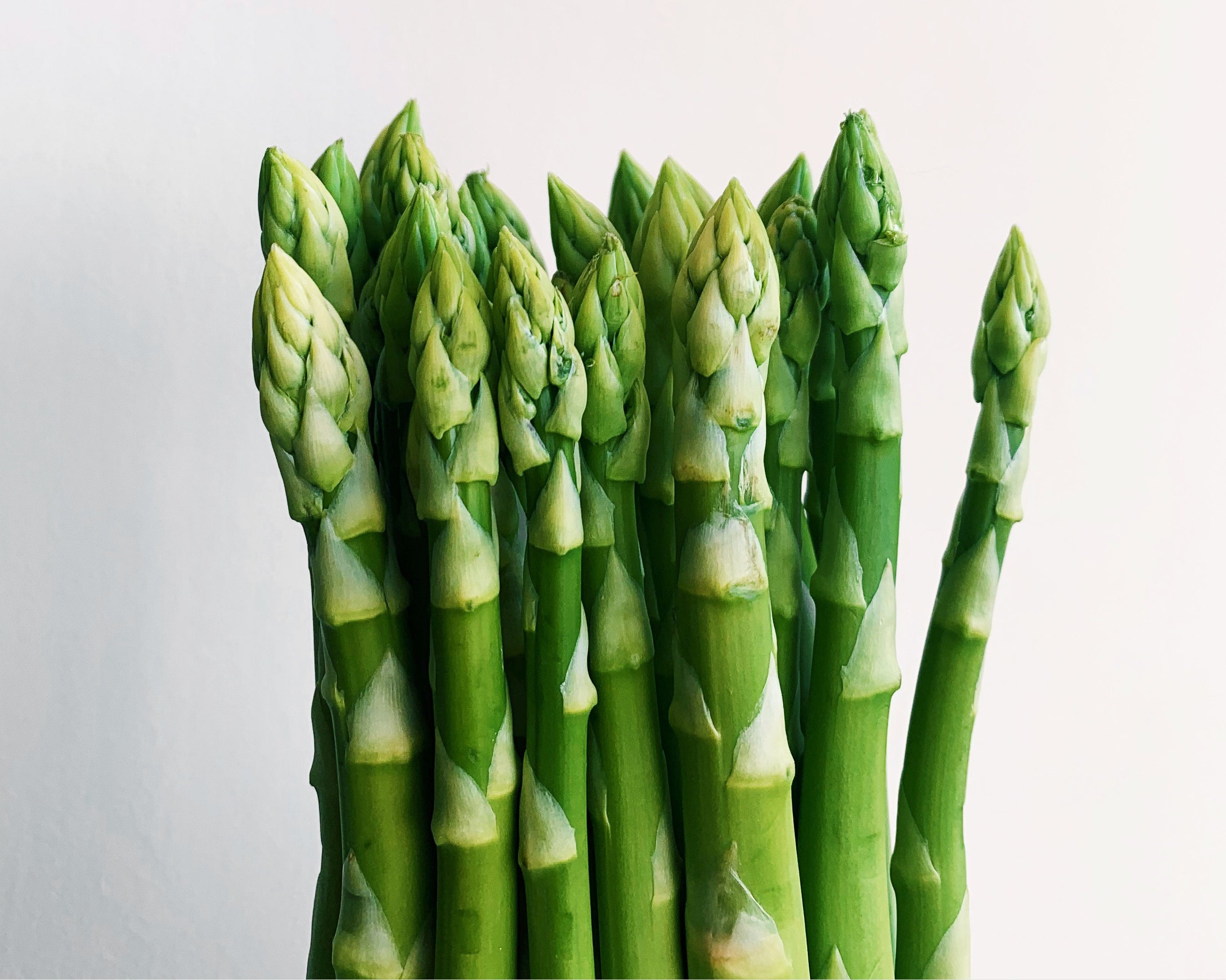 Bunch of asparagus