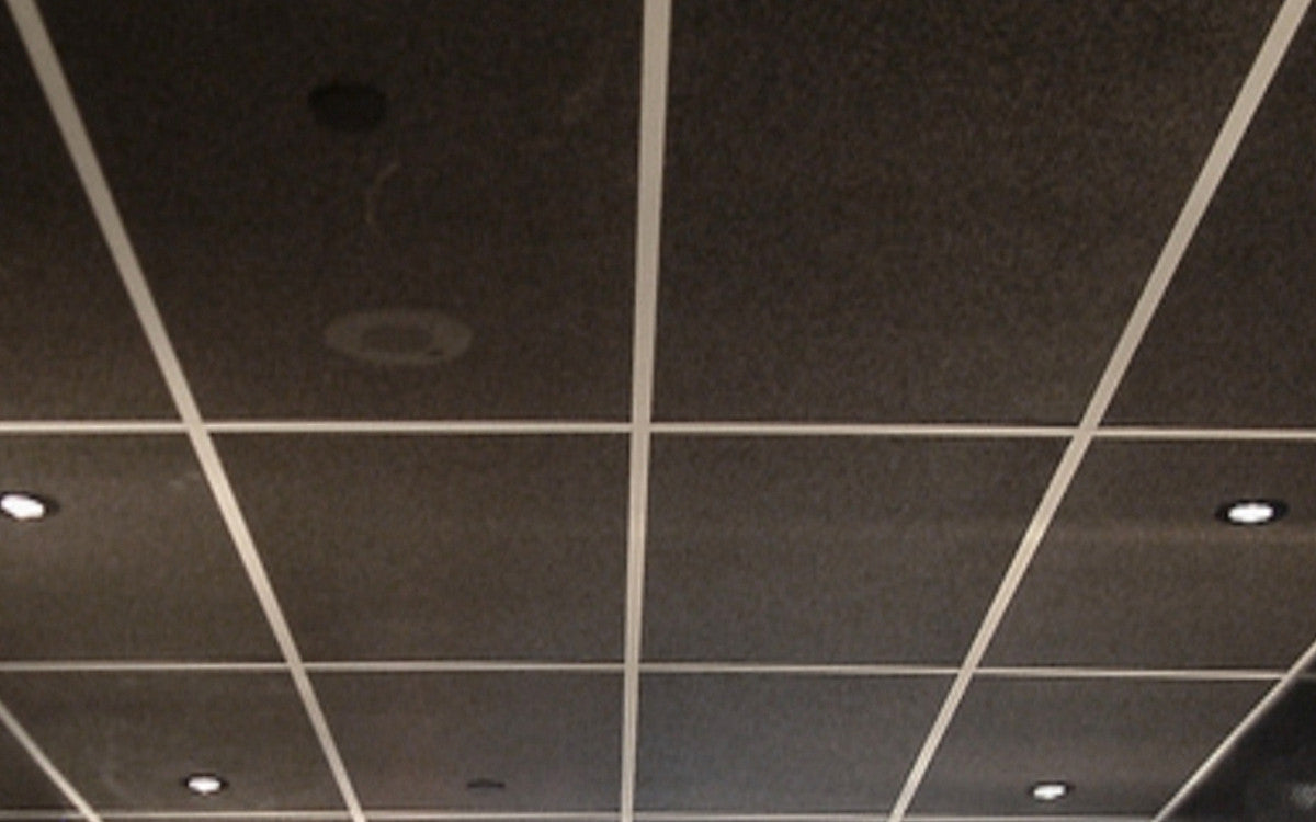 Quietfoam W Waterproof Ceiling Tile