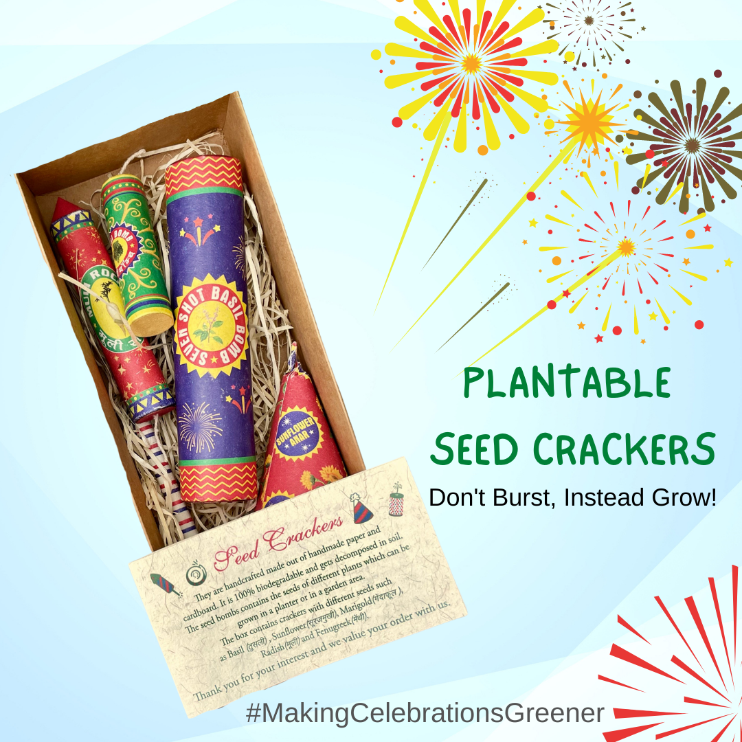 SEED CRACKERS: Plantable Seed Paper Crackers: Set of 5 – SowandGrow