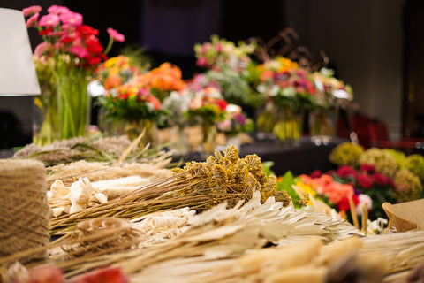 Trockenblumen bei Willkommen Österreich