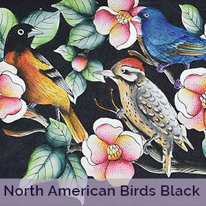 Artwork North American Bird Black