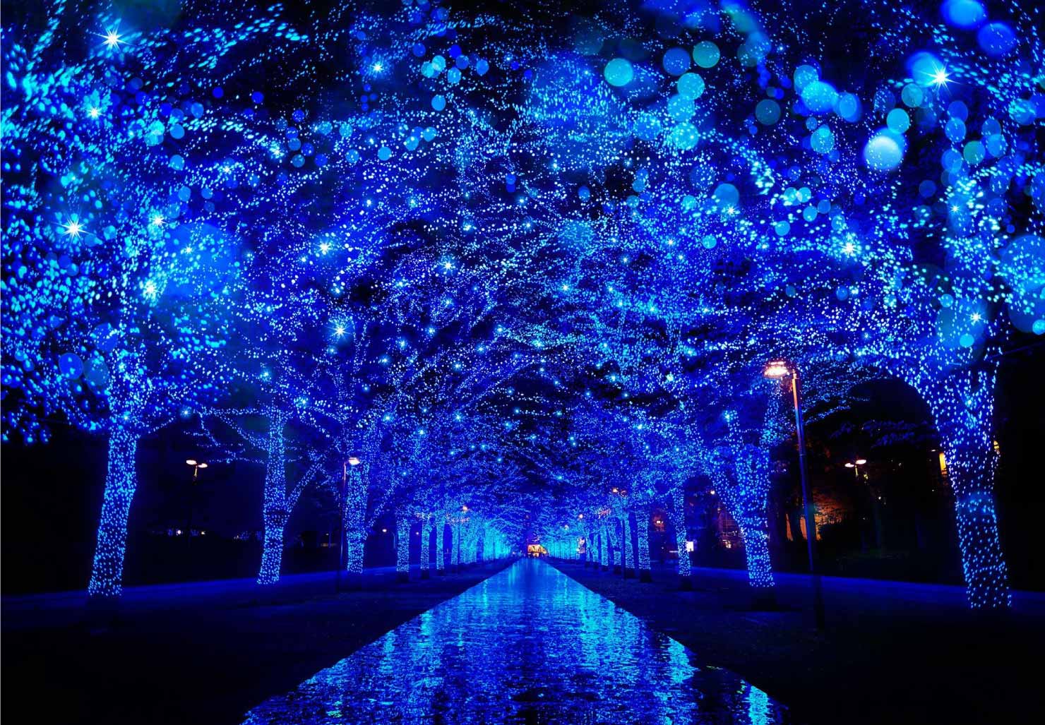 全國人氣第一的聖誕節點燈，感受不一樣的涉谷氣氛 青の洞窟