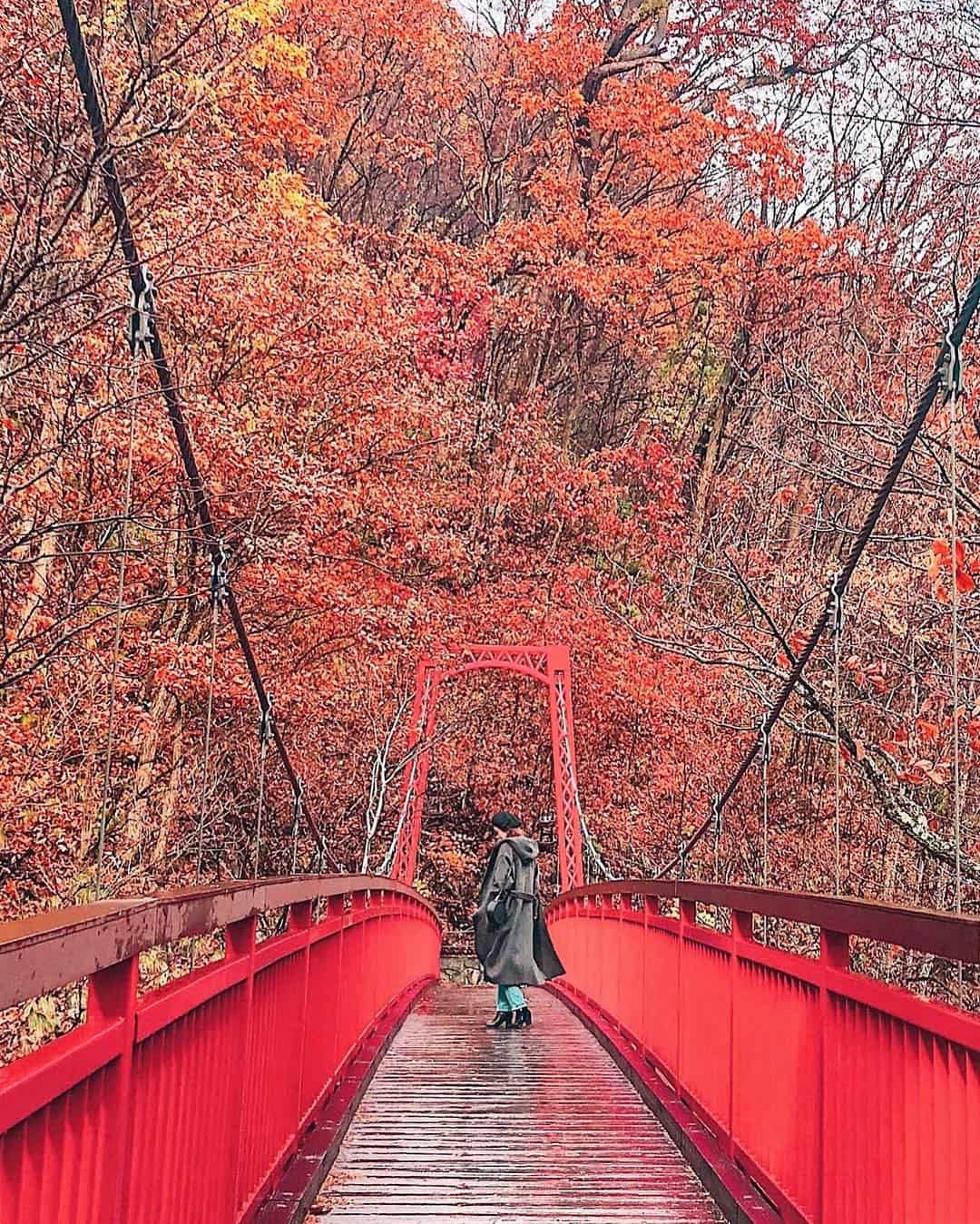 日本紅葉景點-北海道-札幌市南区-定山渓温泉