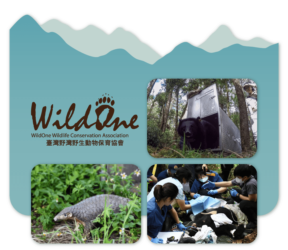 關於WildOne野灣野生動物保育協會