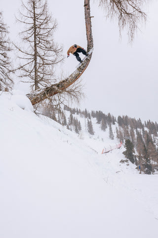 Casey Savage tree jib