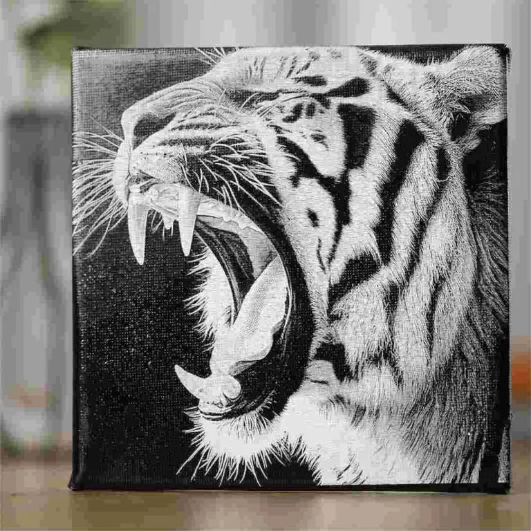Canvas Engraving with NEJE Laser