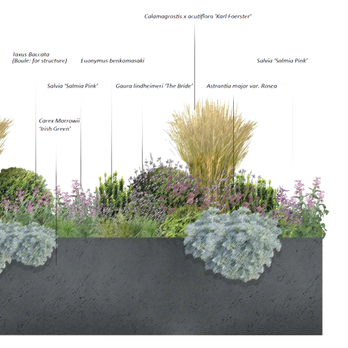 Plant_scheme