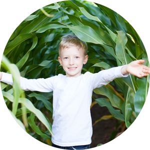 Child Standing in a Corn Maze