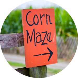 Orange Sign with Black Corn Maze Text and Arrow
