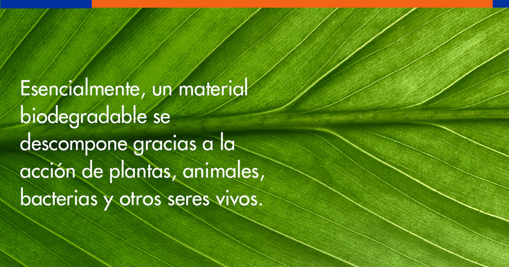 Embalaje biodegradable