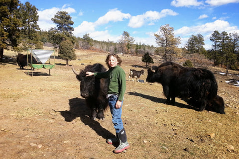 Yaks with our son, grass-fed and grass-finished