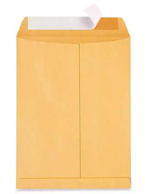 6"x9" Kraft Self-Seal Envelopes - Avalon PASS Online - Envelopes 6x9 Self Seal