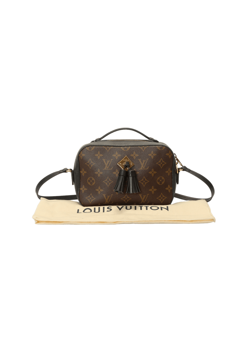 Louis Vuitton Saintonge Bag Reference Guide - Spotted Fashion