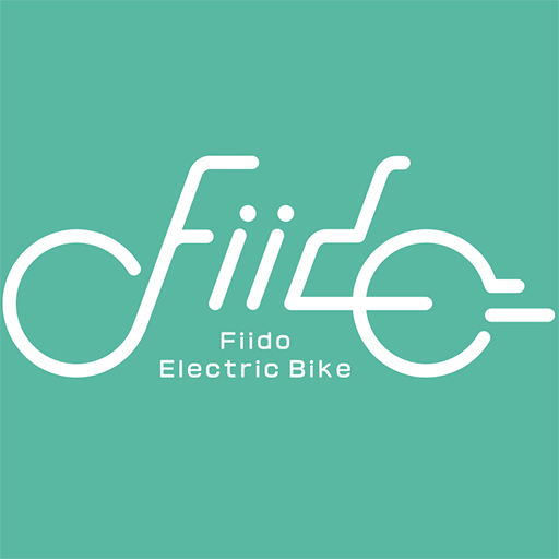 www.fiidoebike.com