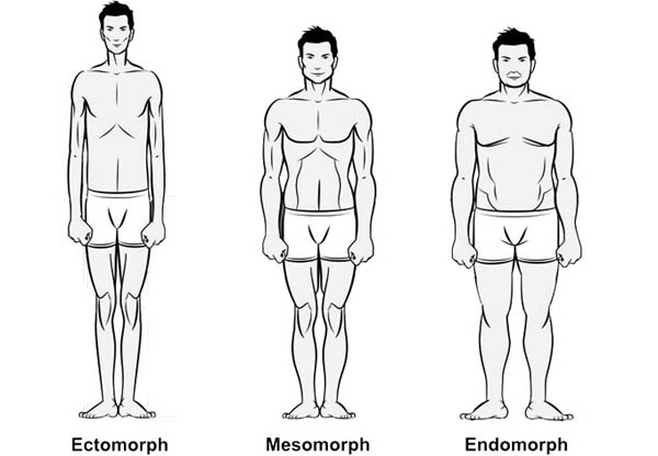 Endomorph-Mesomorph-Eectomorph