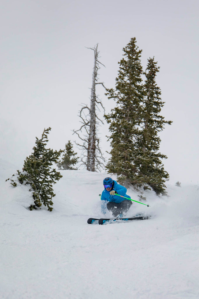 Carving skis hard in the trees at Snowbird Utah