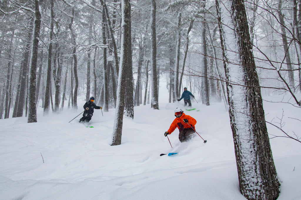 How to ski in trees - bring a friend