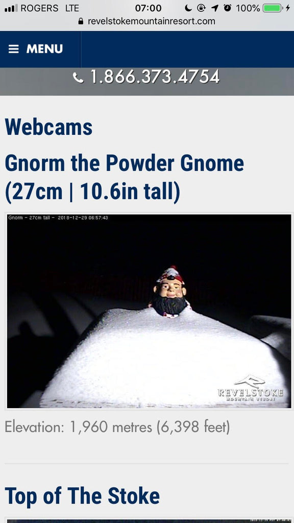 Gnorm the Powder Gnome