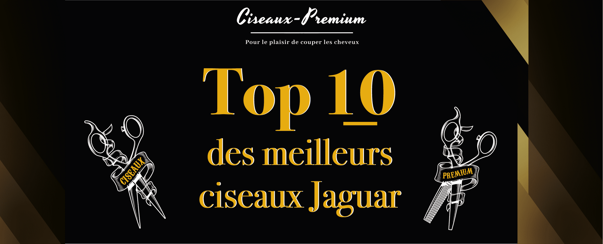 meilleurs ciseaux coiffure jaguar