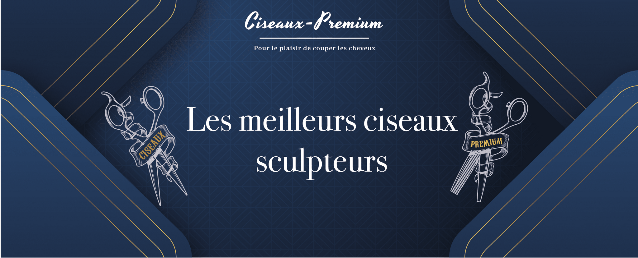 Meilleurs ciseaux sculpteurs coiffure