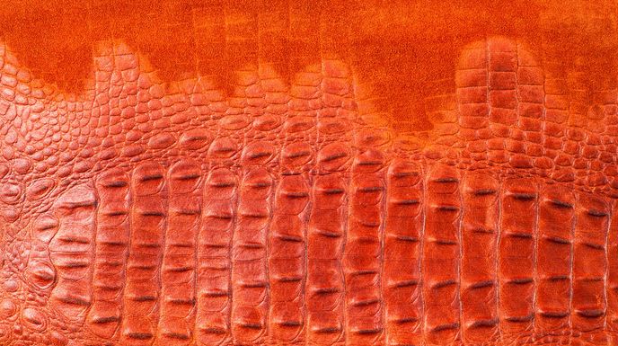 Leather making process using crocodile skin is a skill.