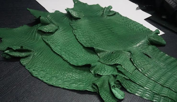 green crocodile skin