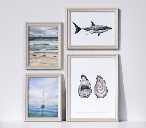 4 framed art prints picturing a beach, a blue ocean scene with a sailboat, a shark and a shark in the shape of an oyster shell