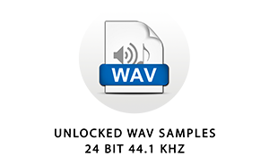 The samples in this library are standard 24 bit 44.1 kHz wave files. They can be used in any audio software or hardware that supports common wav files.