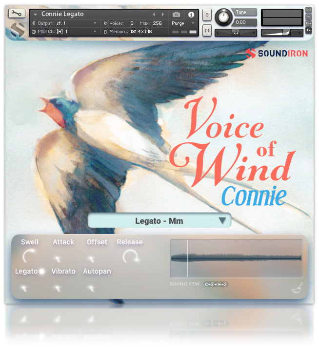 Voices of Wind Collection Pluginsmasters