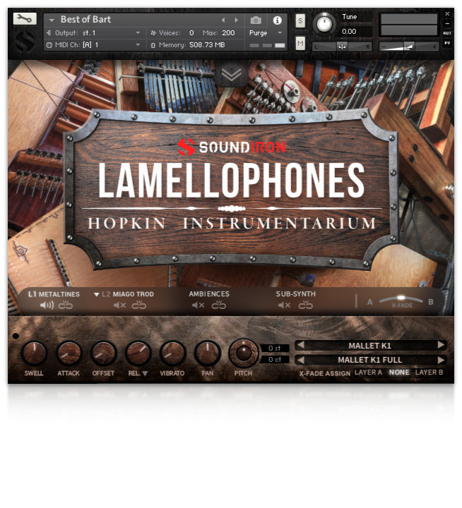 Hopkin Instrumentarium: Lamellophones Pluginsmasters