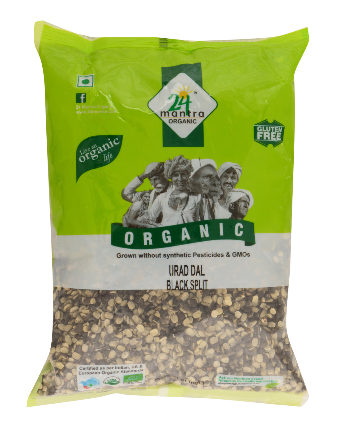 urad dal plant