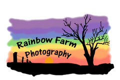 Rainbow Farm Photography Outdoor Family Beach Farm Park Photographer Busselton Western Australia