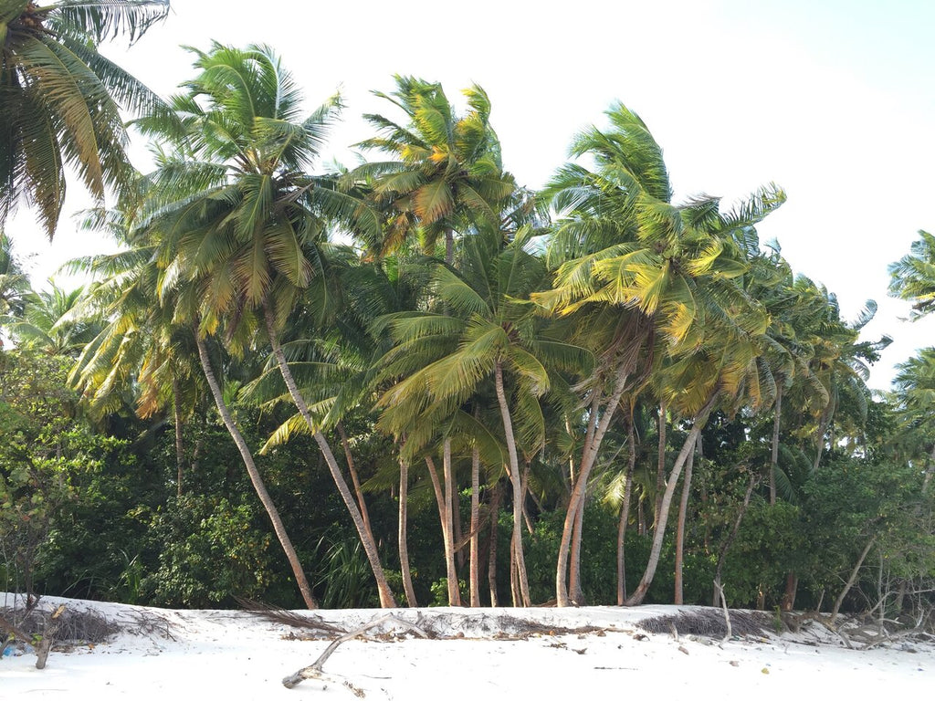 flip*flop Travel Tipp Reise Malediven am Strand in Originals Weiß