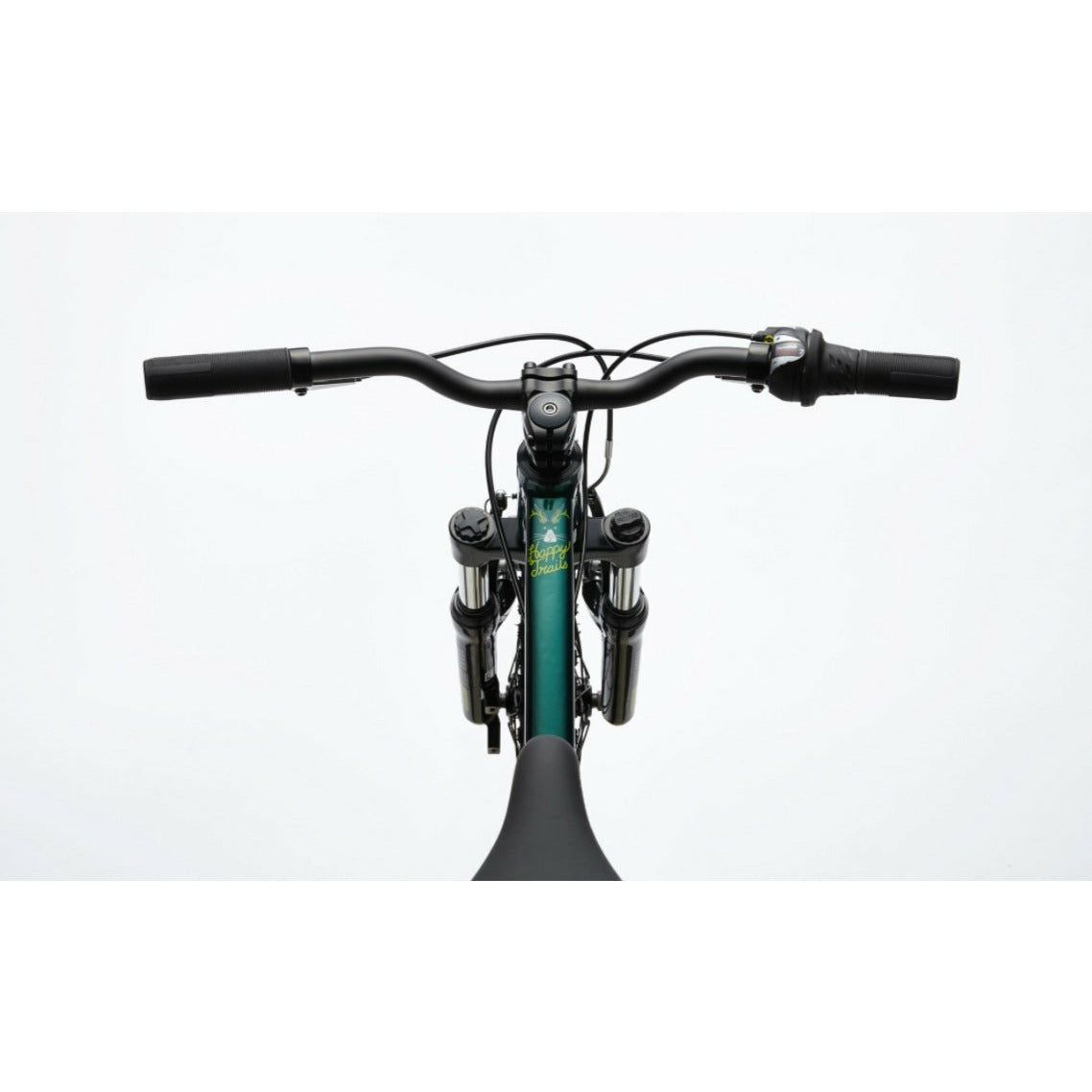 cannondale 20 mountain bike