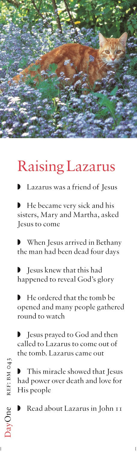 lazarus meaning