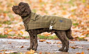 Hugo and Hudson Tweed Dog Coat