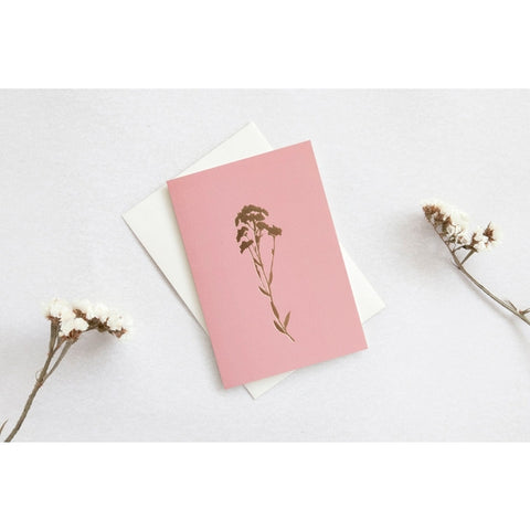 shop new in cards and stationery from ola studio