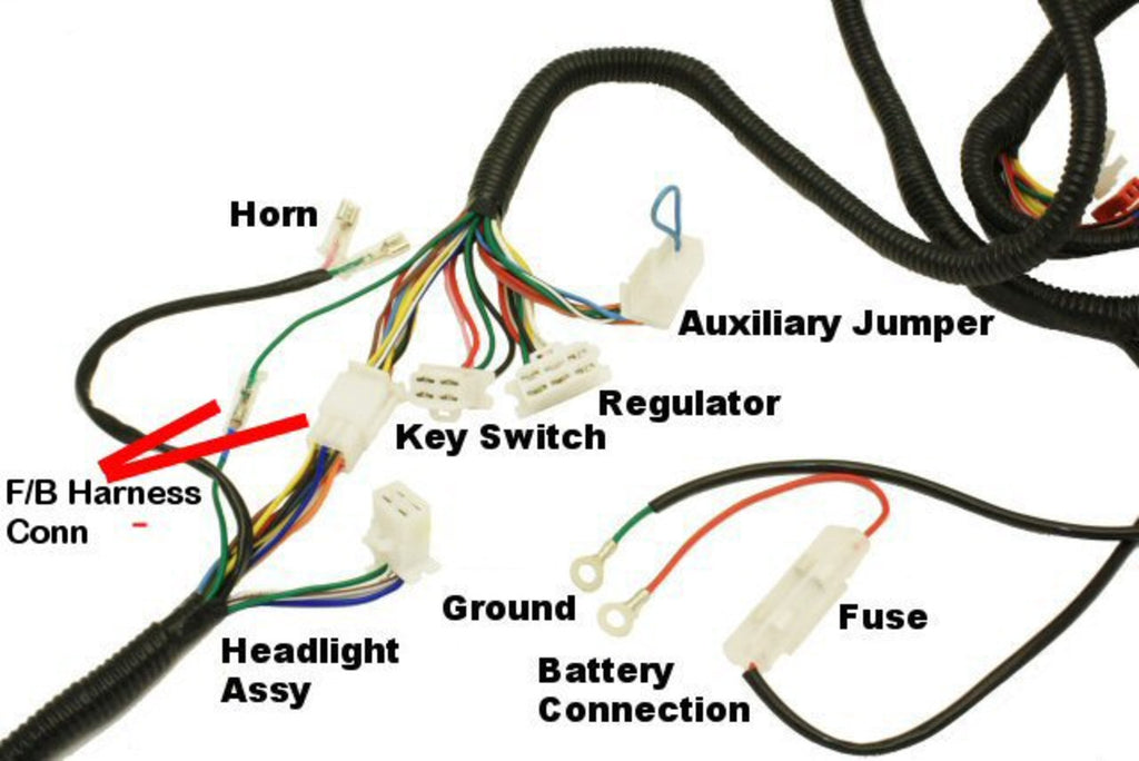 Complete GY6 Scooter Wire Harness Primo Scooter Company