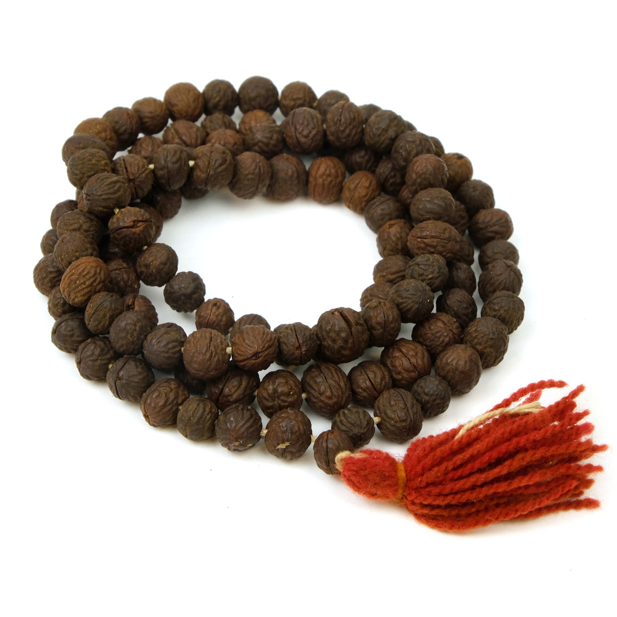 Bodhi Seed XL Mala with Sacred Shank Shell Spacers – Beads of Paradise