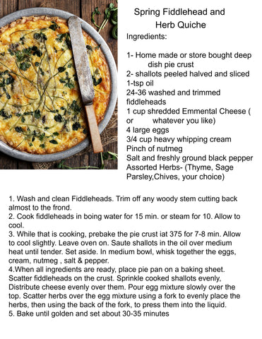 Spring Fiddlehead and Herb Quiche! Oh My!! | BELLAVINTAGEHOME