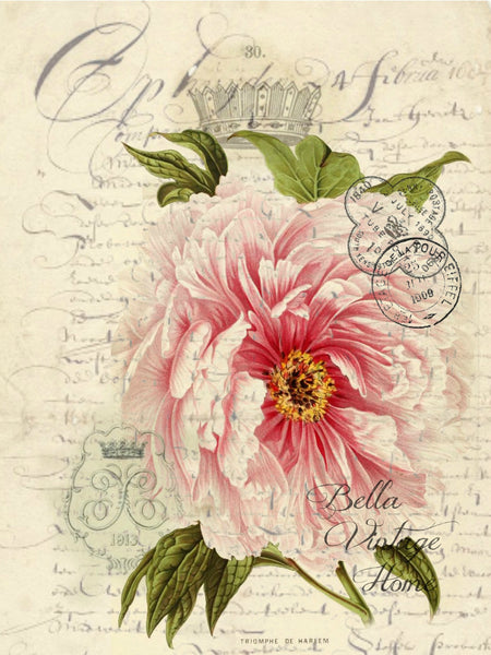 Botanical Rose Print, Pillow, Note Cards, Tea Towel, Digital Download ...